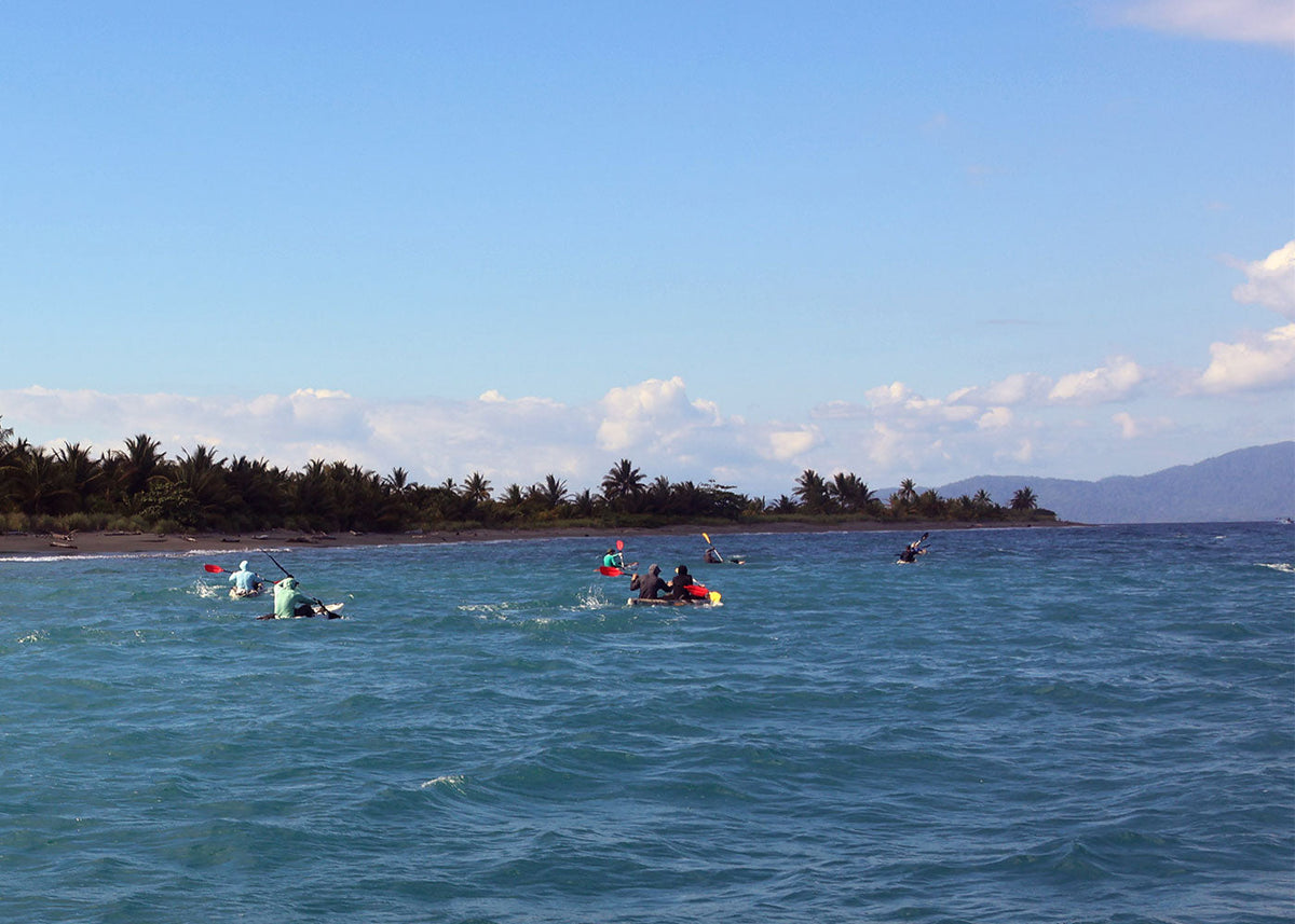 People kayaking in blue ocean water near a tropical shoreline with palm trees and distant mountains.