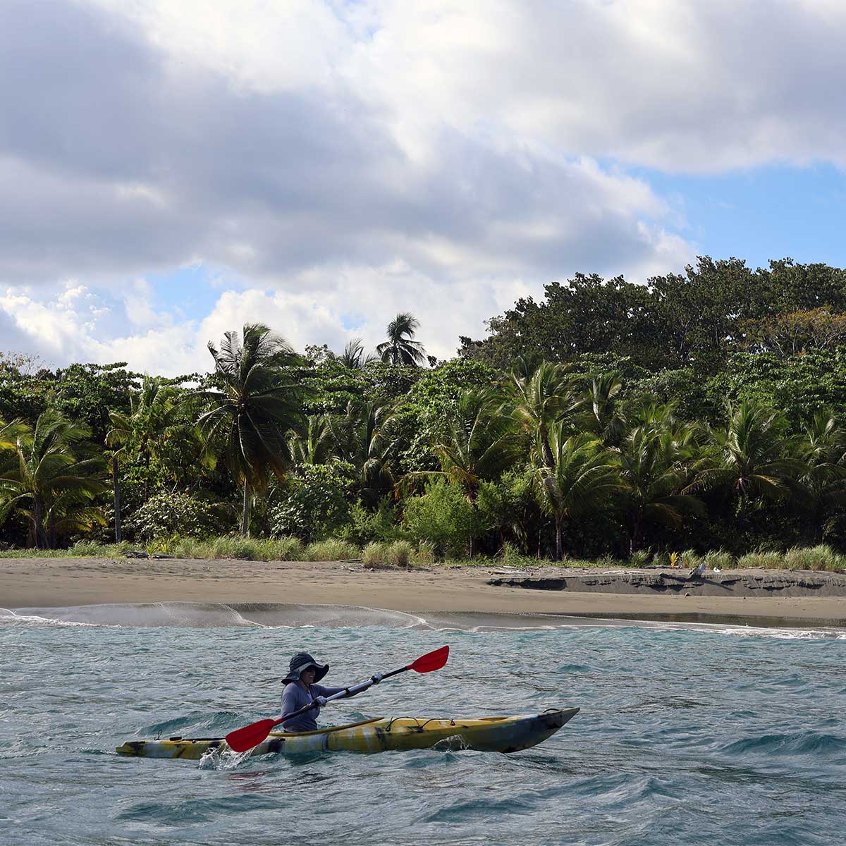 Person kayaking near a tropical beach with palm trees and cloudy sky in the background.