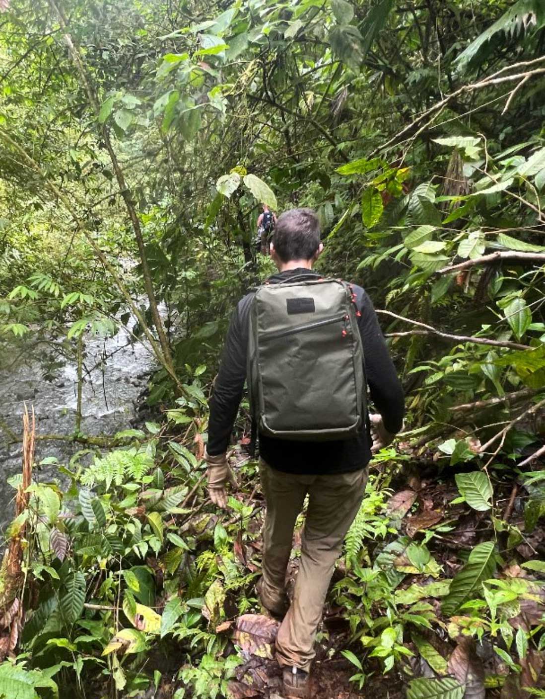Person with a backpack walking through dense, green jungle foliage beside a river or stream.