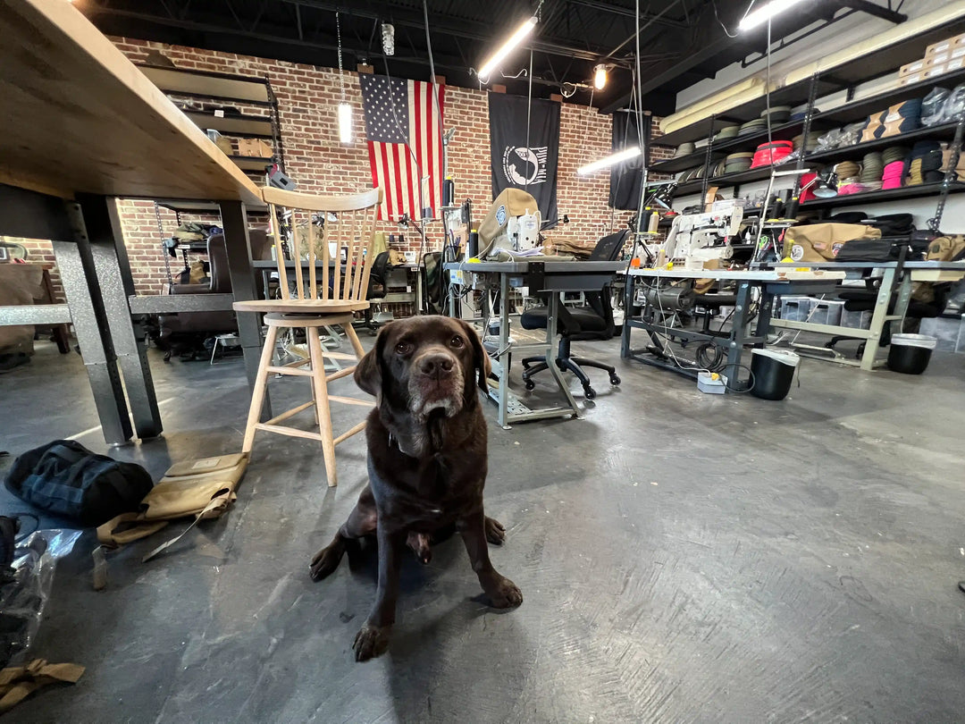 Chocolate labrador dog sitting in GORUCK gear workshop with American flag and sewing stations
