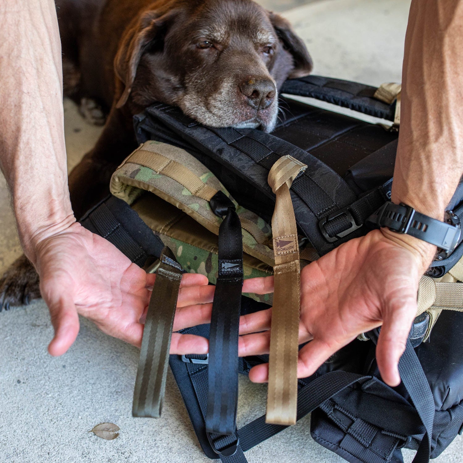 Person holding T-REX Hand Straps on a backpack as a dog rests its head, looking relaxed—the ideal rucking accessory for comfort and hand swelling relief.
