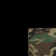 Black + Woodland Camo