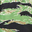 Tiger Stripe