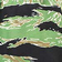 Tiger Stripe